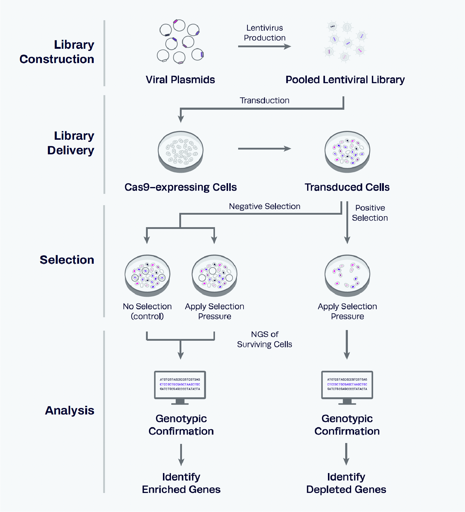 Pooled And Arrayed Crispr Screening Methods A In Pooled Screening - Ultra HD Vintage Pattern - Retina